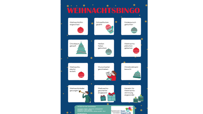 Weihnachtsbingo, ein Spiel mit 12 Feldern, die angekreuzt werden